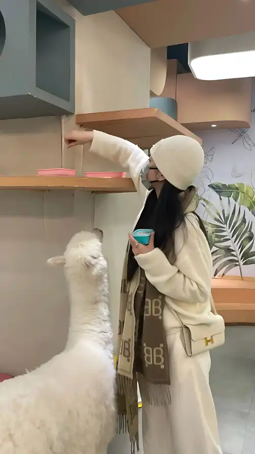 免费高清在线观看污污网站_亚洲成年网站青青草原_万博手机网页版